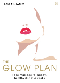 Cover image: The Glow Plan 9781786785954