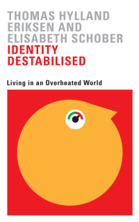 Cover image: Identity Destabilised 1st edition 9780745399126