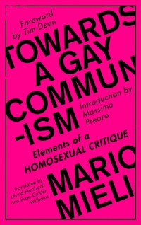 Cover image: Towards a Gay Communism 1st edition 9780745399522