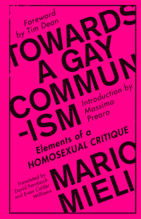 Immagine di copertina: Towards a Gay Communism 1st edition 9780745399515