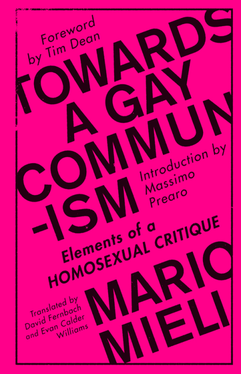 Towards a Gay Communism: Elements of a Homosexual Critique, 1st Edition - FULL INSTANT DOWNLOAD | PDF DOCX EPUB