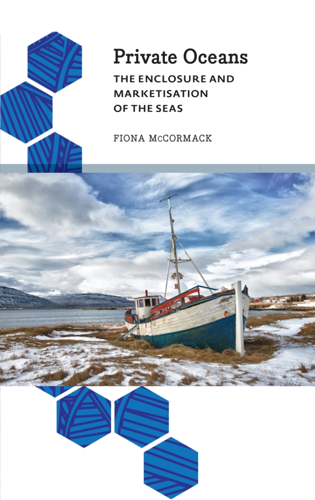 Private Oceans The Enclosure and Marketisation of the Seas 1st Edition