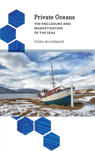 Cover image: Private Oceans 1st edition 9780745399157