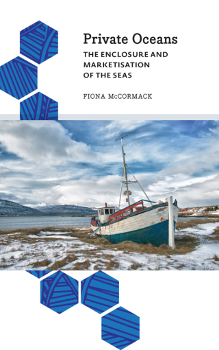 Titelbild: Private Oceans 1st edition 9780745399102