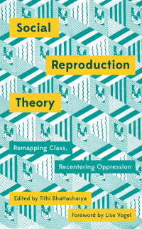 Cover image: Social Reproduction Theory 1st edition 9780745399881