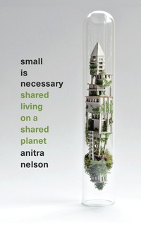 Cover image: Small is Necessary 1st edition 9780745334233