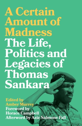 Cover image: A Certain Amount of Madness 1st edition 9780745337586