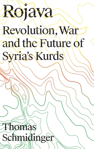 Cover image: Rojava 1st edition 9780745337739