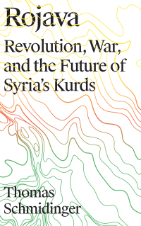 Cover image: Rojava 1st edition 9780745337722