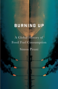 Cover image: Burning Up 1st edition 9780745335629
