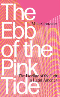 صورة الغلاف: The Ebb of the Pink Tide 1st edition 9780745399966