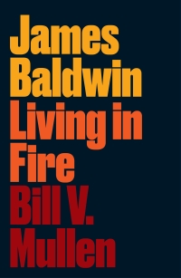 صورة الغلاف: James Baldwin 1st edition 9780745338545
