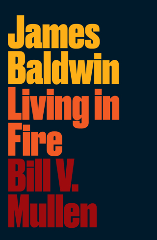 Cover image: James Baldwin 1st edition 9780745338545