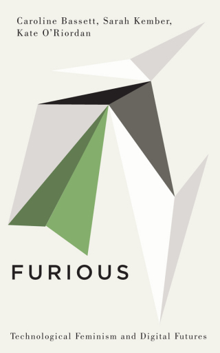 Cover image: Furious 1st edition 9780745340500