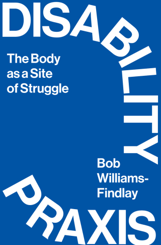 Cover image: Disability Praxis 1st edition 9780745340982