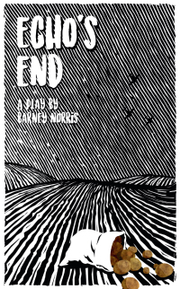 Cover image: Echo's End 1st edition 9781786821195