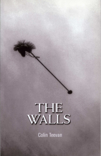 Cover image: The Walls 1st edition 9781840021530
