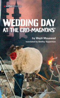 Cover image: Wedding Day at the Cro-Magnons 1st edition 9781840028485