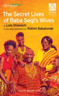 Titelbild: The Secret Lives of Baba Segi’s Wives 1st edition 9781786825513