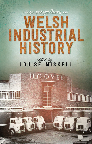 صورة الغلاف: New Perspectives on Welsh Industrial History 1st edition 9781786835000
