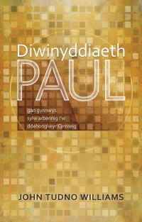 Cover image: Diwinyddiaeth Paul 1st edition 9781786835345