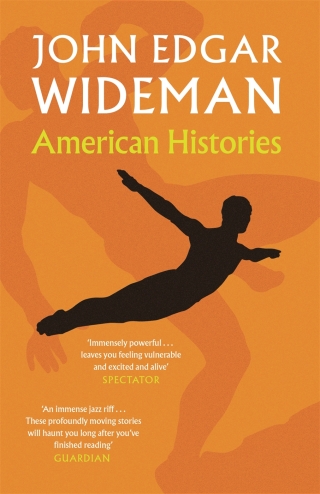 Cover image: American Histories 9781786892089