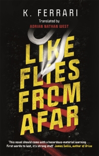 Cover image: Like Flies from Afar 9781786896964