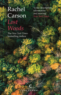 Imagen de portada: Lost Woods 9781786898920