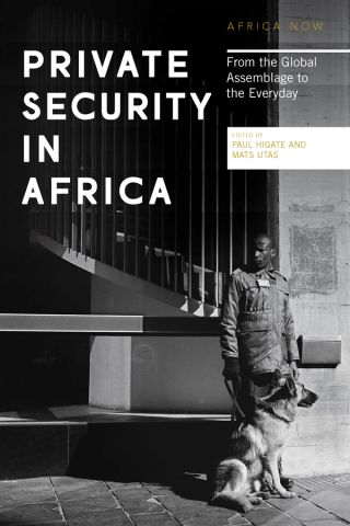 Titelbild: Private Security in Africa 1st edition 9781786990259