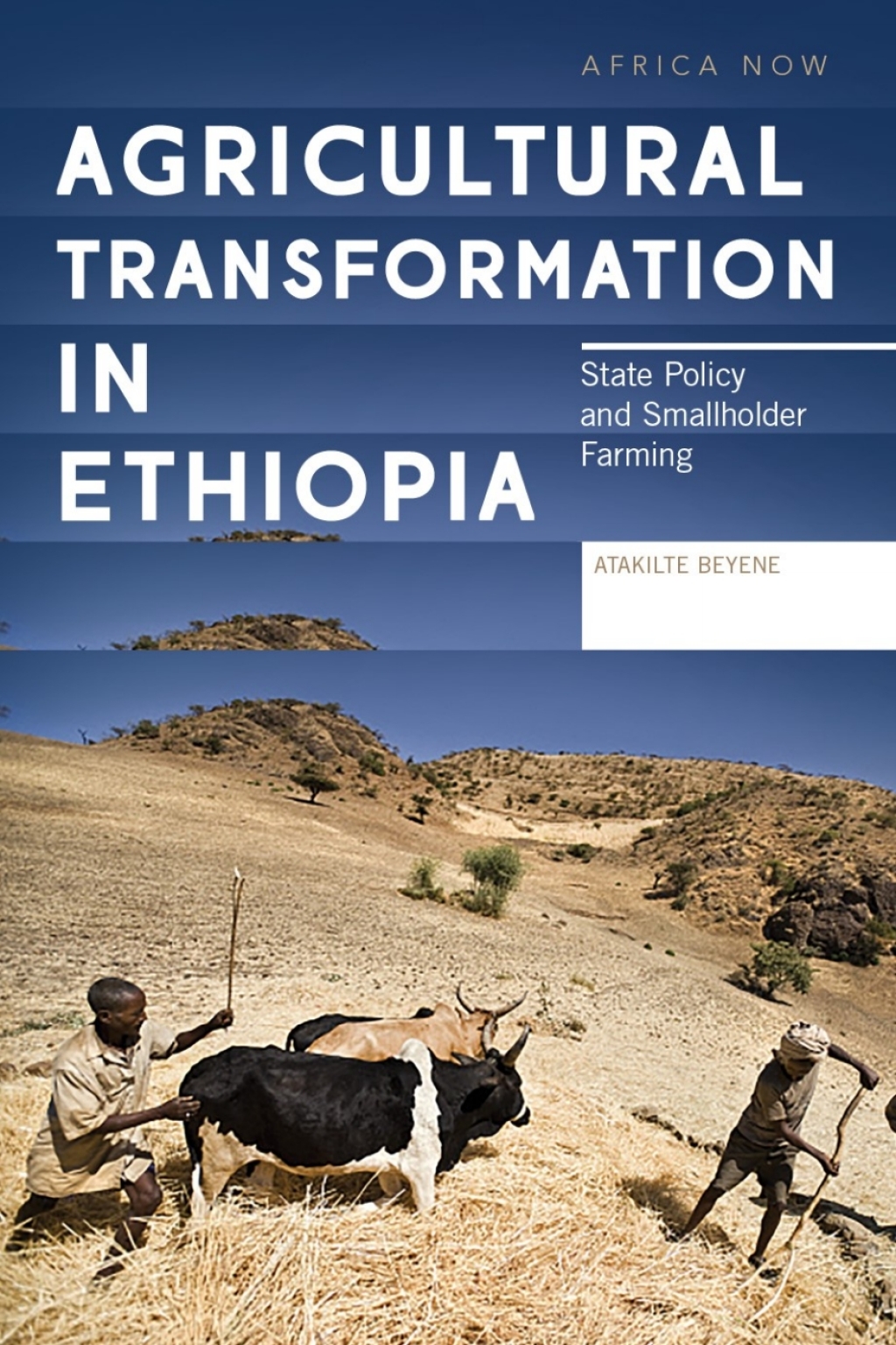Agricultural Transformation in Ethiopia State Policy and Smallholder Farming 1st Edition