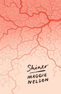 Cover image: Shiner 1st edition 9781786994653