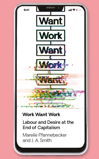Cover image: Work Want Work 1st edition 9781786997289