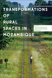 Cover image: Transformations of Rural Spaces in Mozambique 1st edition 9781786999245