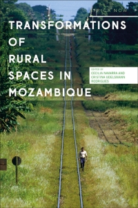 Omslagafbeelding: Transformations of Rural Spaces in Mozambique 1st edition 9781786999245