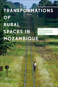 Cover image: Transformations of Rural Spaces in Mozambique 1st edition 9781786999245