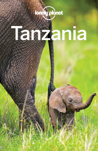 Cover image: Lonely Planet Tanzania 9781786575623