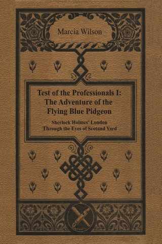 صورة الغلاف: The Adventure of the Flying Blue Pidgeon 1st edition 9781787050297