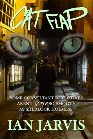 Cover image: Cat Flap 2nd edition 9781787050419