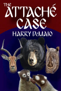 Immagine di copertina: The Attaché Case 1st edition 9781787052468