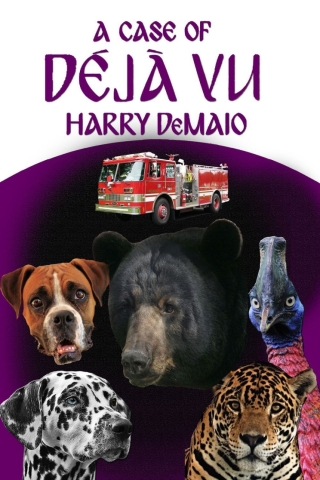 Imagen de portada: A Case of Déjà Vu 1st edition 9781787056695