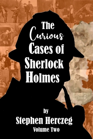 Cover image: The Curious Cases of Sherlock Holmes - Volume Two 1st edition 9781787057616