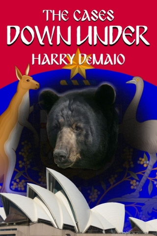 Cover image: The Cases Down Under 1st edition 9781787058811