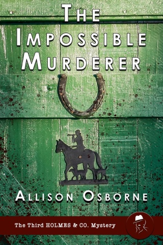Cover image: The Impossible Murderer 1st edition 9781787059702