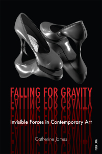 Immagine di copertina: Falling for Gravity 1st edition 9783034317269