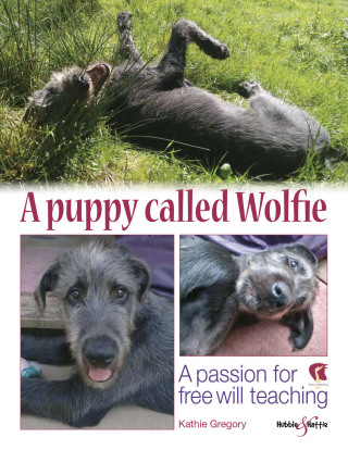 Cover image: A puppy called Wolfie 9781787110700