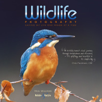 Cover image: Wildlife photography 9781787114166