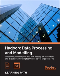 Cover image: Hadoop: Data Processing and Modelling 1st edition 9781787125162