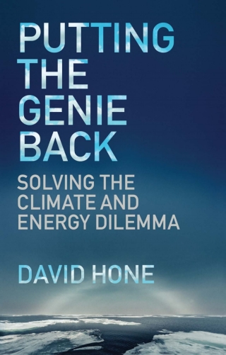 Imagen de portada: Putting the Genie Back 9781787144484