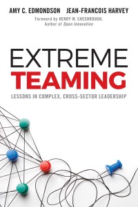 Cover image: Extreme Teaming 9781786354501