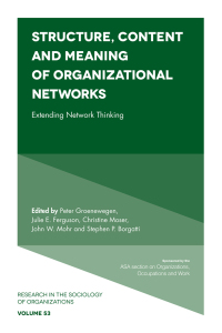 Imagen de portada: Structure, Content and Meaning of Organizational Networks 9781787144347